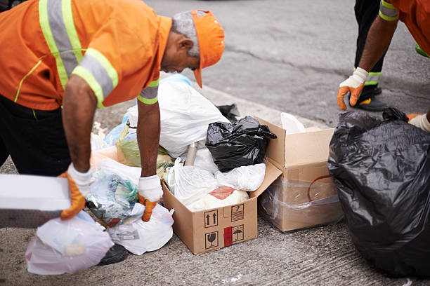 Best Same-Day Junk Removal Services  in Mount Vernon, IN
